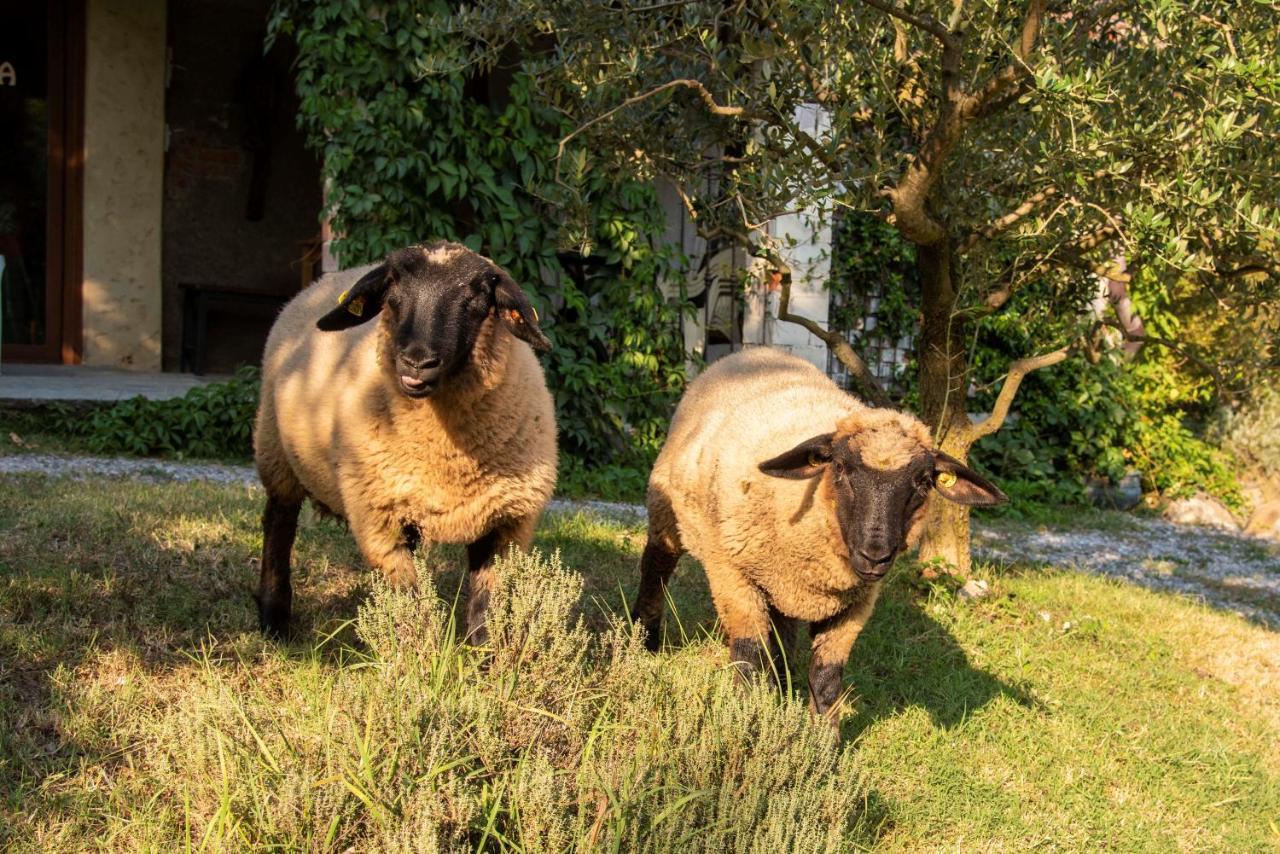 Agriturismo Cascina Costa Cassago Brianza Екстер'єр фото